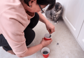 The Hidden Costs of DIY Stone Restoration